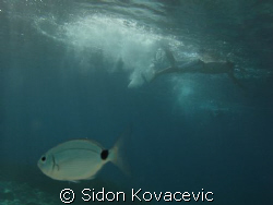 two of them by Sidon Kovacevic 